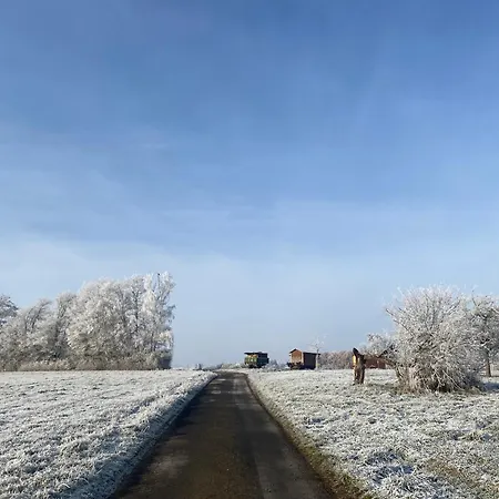 Accommodatie bij particulieren Roomfortwo Natural