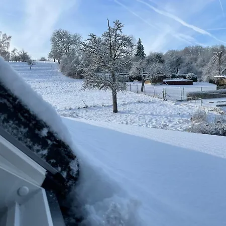 Homestay szállás Roomfortwo Natural