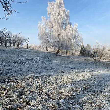 Homestay szállás Roomfortwo Natural