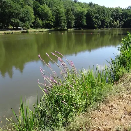 Roomfortwo Natural *