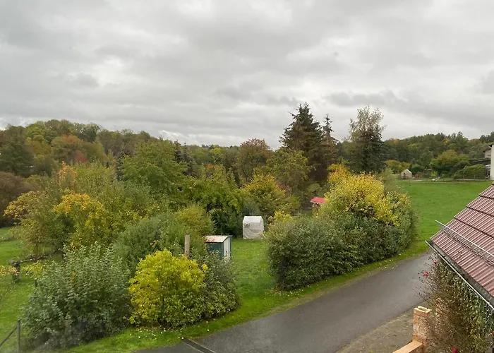 Roomfortwo Natural Waldsolms