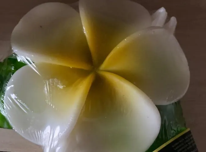 Roomfortwo Natural Waldsolms