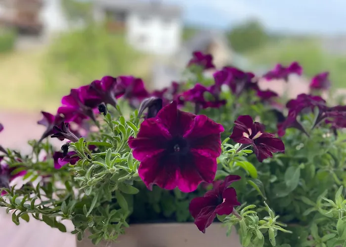 Kwatera prywatna Roomfortwo Natural *