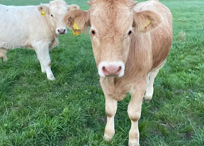 民宿 Roomfortwo Natural *