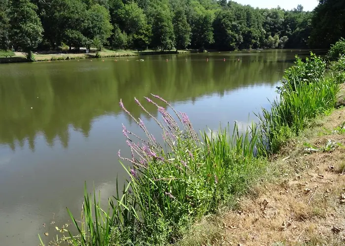 Roomfortwo Natural *